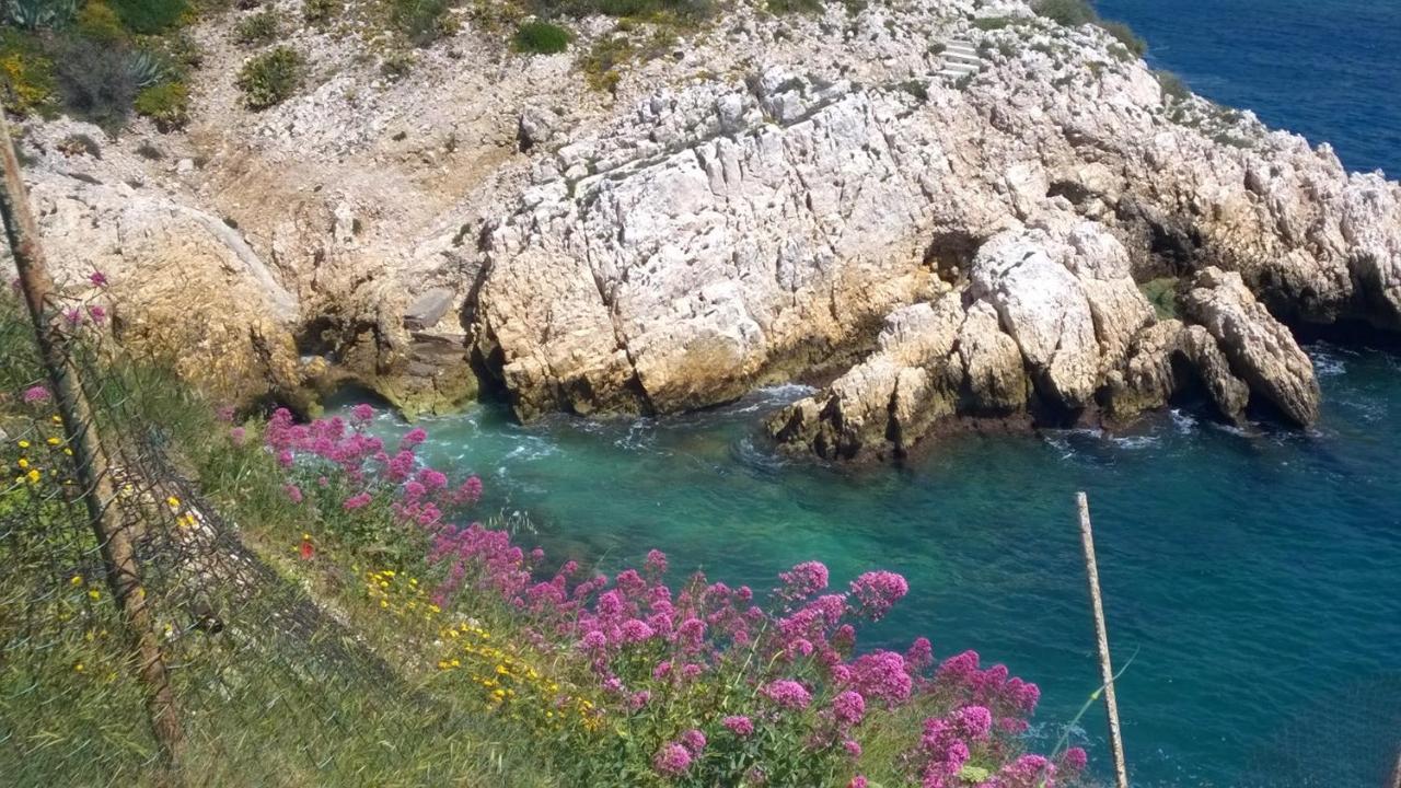 Апартаменти Petit Cocon A Mourepiane Марсель Екстер'єр фото
